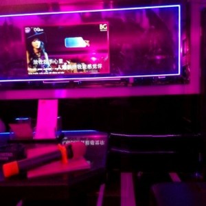 冰清梅子酒销售话术技巧（冰清梅子酒销售魅力沟通：解锁独特销售艺术）