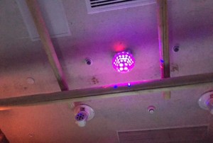销售鹿茸酒的方法（鹿茸酒销售新策略：创新营销模式与市场推广方法）
