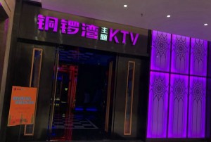 杭州东方魅力ktv消费怎么样（探索杭州东方魅力KTV的独特魅力与消费体验）