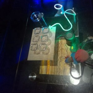 杭州酒吧11（杭城夜色下的第11家酒吧：邂逅新风尚）