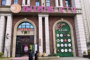 夜总会（光影交错的都市夜宴：霓虹下的娱乐新境界）