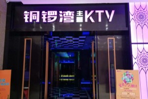 零售酒的销售方法（创新零售策略：酒品销售的艺术与科学）